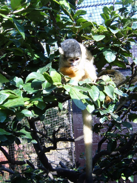 These guys were adorable, but totally bonkers.