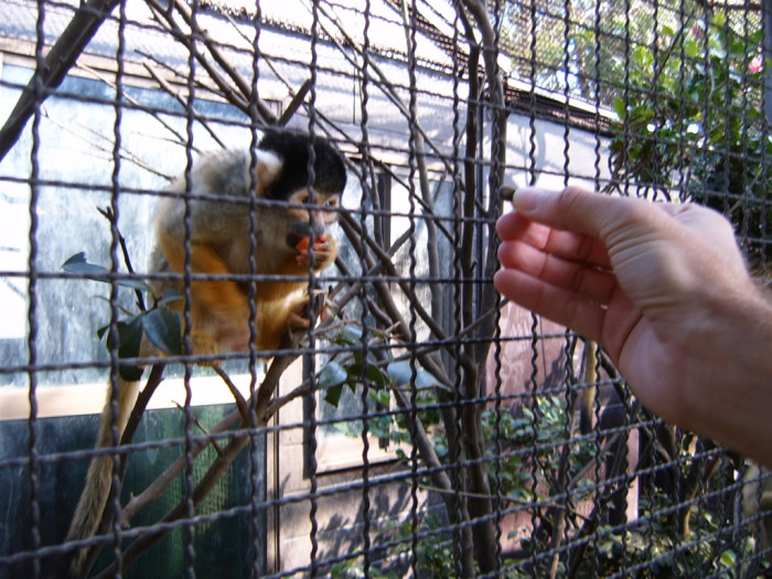 A SEED?!? OMGOMGOMGOMGOMG!