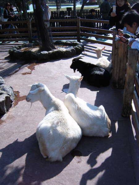 "Oh look, more people. Yaaaay. Yeah, we don't care."