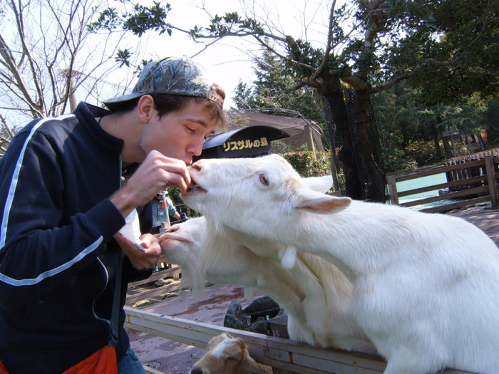 When you consider how tall I am, these are freakishly big goats.