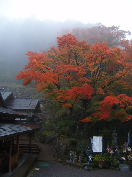 The mist pumped the colors up to 11.