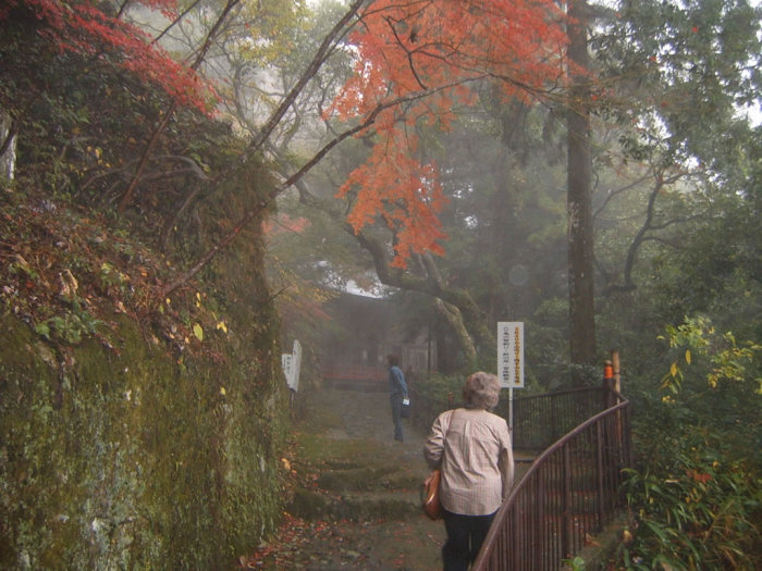 27-pathalongtheabyss