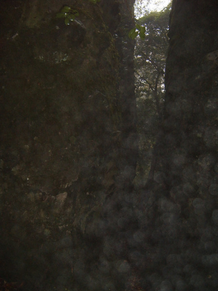 Clearly not weather-sealed.