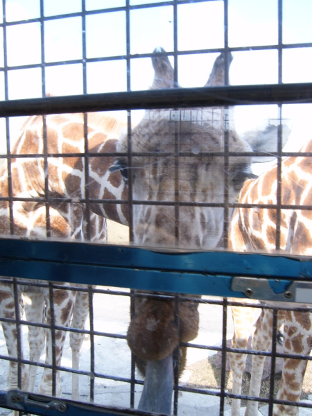 It looks so disappointed with me.