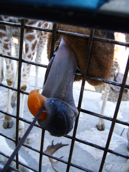 Longer than expected!