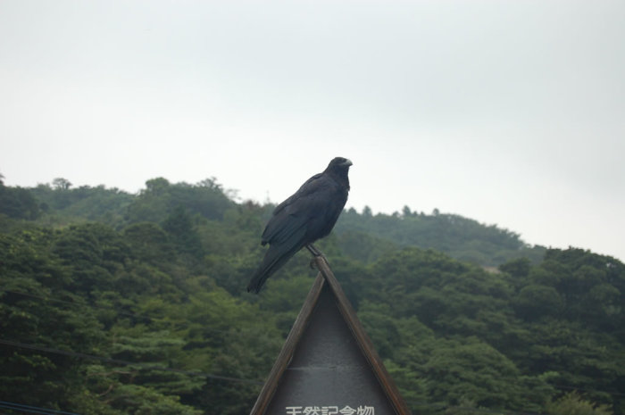 Is he waiting for an egg? or for the person who eats an egg?