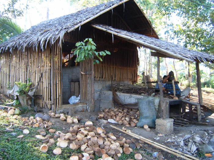 Most villages on the island had only one dryer each. The dryer owner charges each user a fixed fee to dry their harvest.