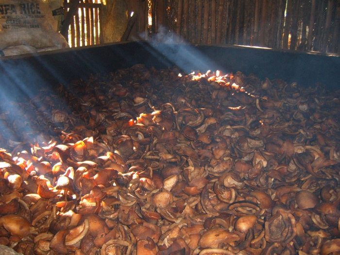 The copra was piled quite deep.