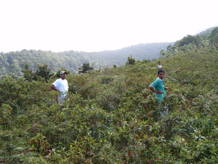 Where the fuck are we?