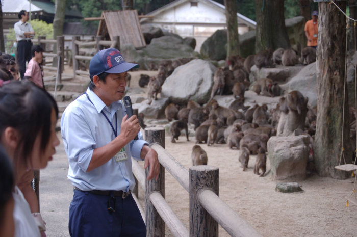 On your left you can see a monkey. And on your right another monkey. And on your...