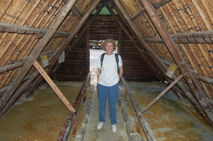 For the truly lizard-skinned, you can roast yourself on the hot spring accretions.