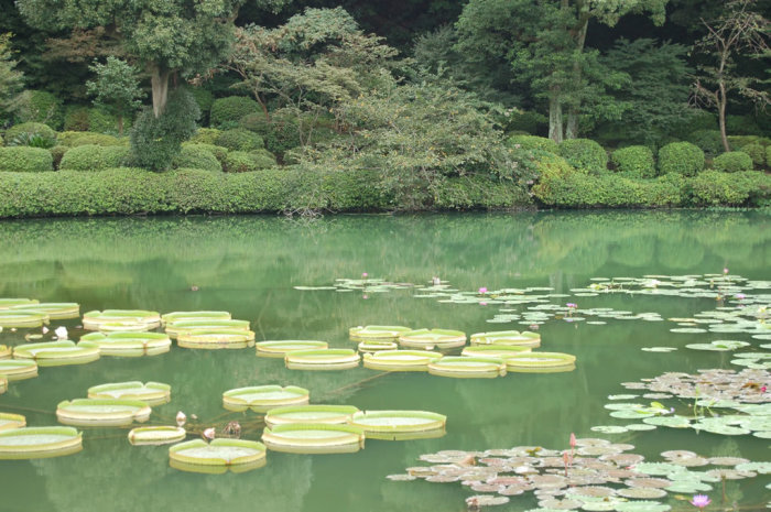 hot_spring_gardens_2