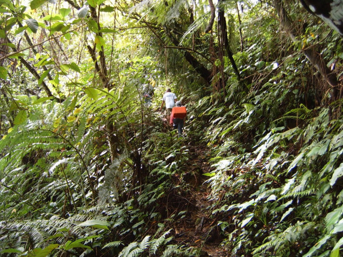 Don't stray from the path!