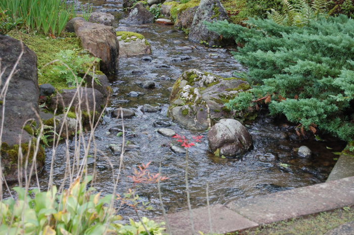 Every rock carefully placed!