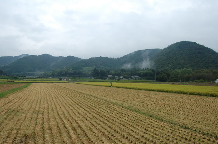 kyoto-agriculture