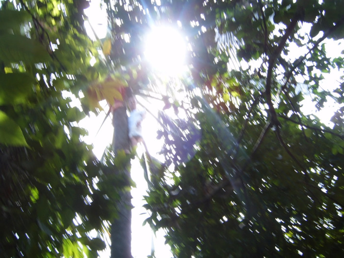 By this time my feet were REALLY hurting!