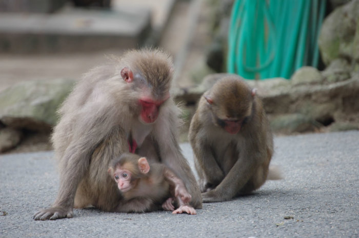 The fuck was that noise?!?