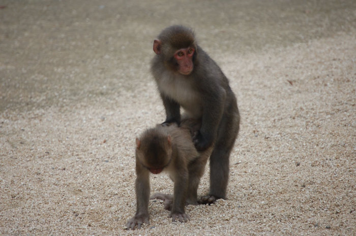 Quite possibly the finest photograph ever featured on Drew's Journal.