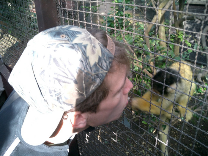 I get all the chicks.