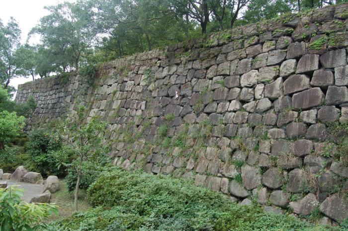 osaka_castle_cat