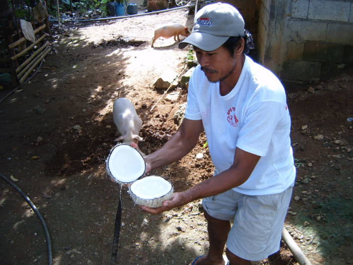 Two whacks from the bolo and boom, perfect halves.