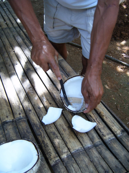 With the correct tools the coconut meat comes out surprisingly easily and cleanly.
