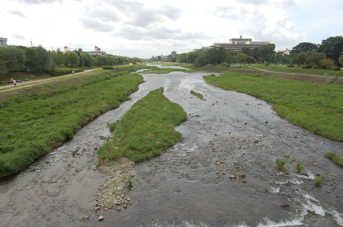 The rivers in Japan that don't simply plunge from a mountain-top straight into the sea tend to be shallow and braided like this one.