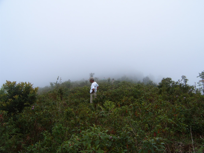 Jorge is trying to remember where he left the path.